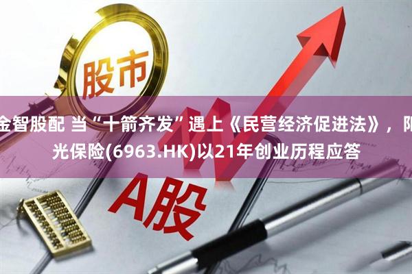 金智股配 当“十箭齐发”遇上《民营经济促进法》，阳光保险(6963.HK)以21年创业历程应答